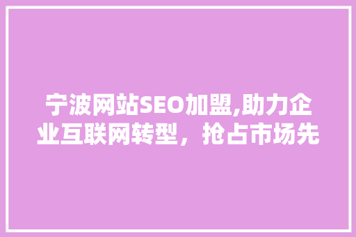 宁波网站SEO加盟,助力企业互联网转型，抢占市场先机