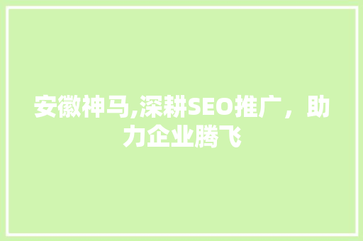 安徽神马,深耕SEO推广，助力企业腾飞