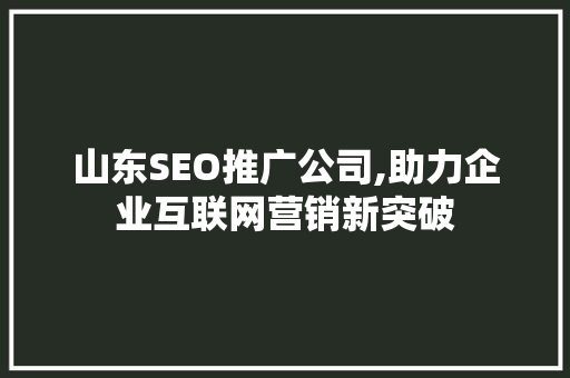 山东SEO推广公司,助力企业互联网营销新突破