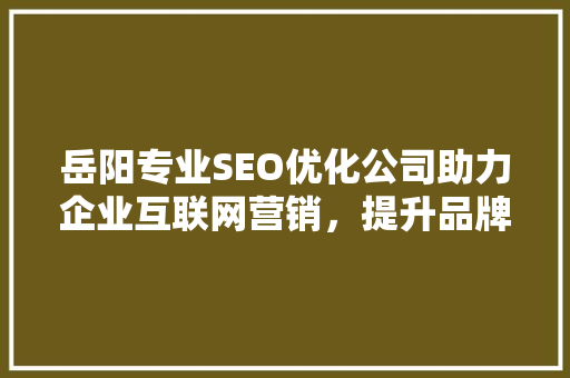 岳阳专业SEO优化公司助力企业互联网营销，提升品牌影响力