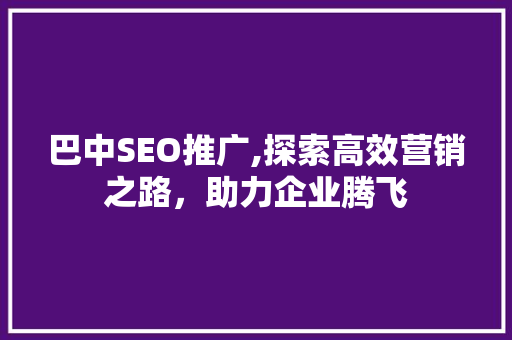 巴中SEO推广,探索高效营销之路，助力企业腾飞