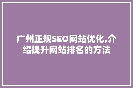 广州正规SEO网站优化,介绍提升网站排名的方法
