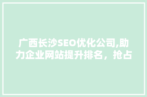 广西长沙SEO优化公司,助力企业网站提升排名，抢占市场先机