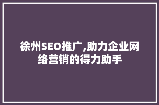 徐州SEO推广,助力企业网络营销的得力助手