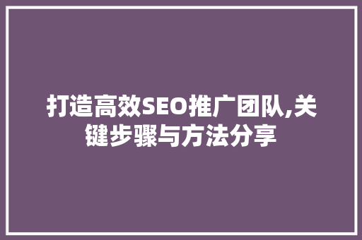打造高效SEO推广团队,关键步骤与方法分享