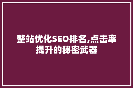 整站优化SEO排名,点击率提升的秘密武器