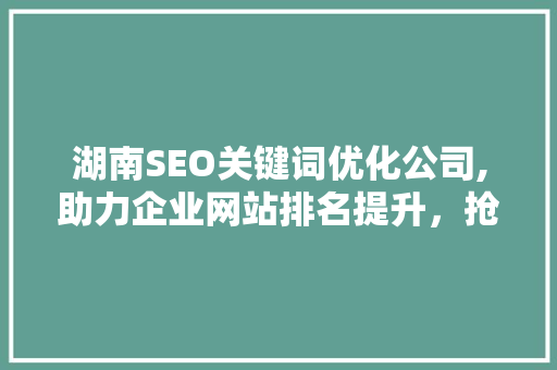 湖南SEO关键词优化公司,助力企业网站排名提升，抢占市场先机