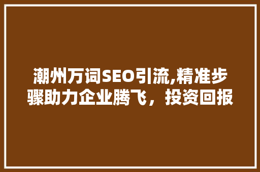潮州万词SEO引流,精准步骤助力企业腾飞，投资回报率分析