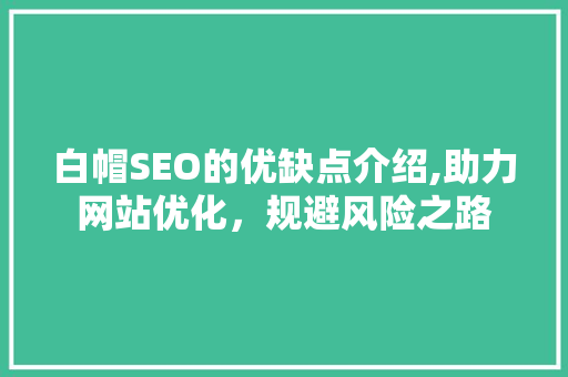白帽SEO的优缺点介绍,助力网站优化，规避风险之路