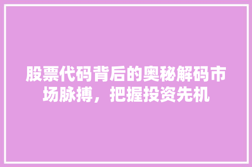股票代码背后的奥秘解码市场脉搏，把握投资先机