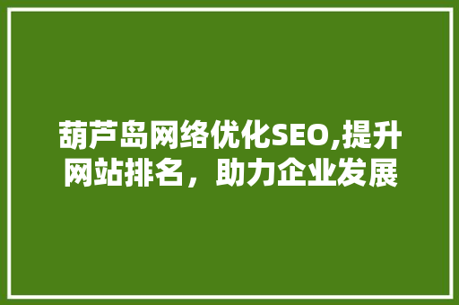 葫芦岛网络优化SEO,提升网站排名，助力企业发展