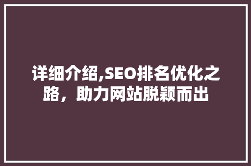 详细介绍,SEO排名优化之路，助力网站脱颖而出