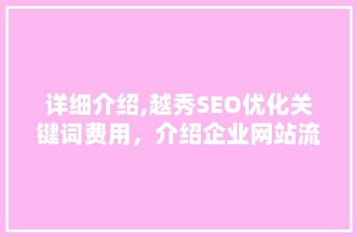 详细介绍,越秀SEO优化关键词费用，介绍企业网站流量提升之路