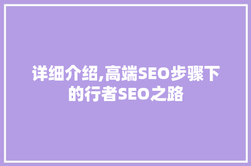 详细介绍,高端SEO步骤下的行者SEO之路