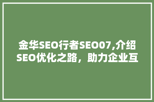 金华SEO行者SEO07,介绍SEO优化之路，助力企业互联网营销  第1张