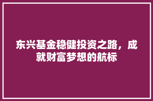 东兴基金稳健投资之路，成就财富梦想的航标