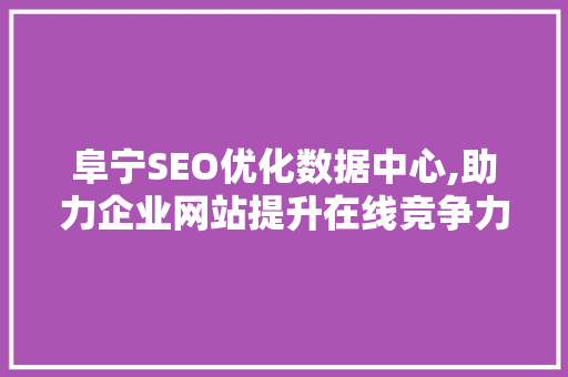 阜宁SEO优化数据中心,助力企业网站提升在线竞争力