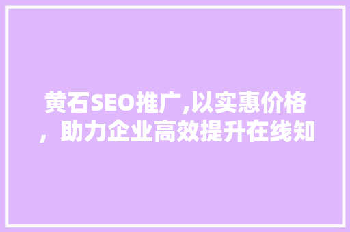 黄石SEO推广,以实惠价格，助力企业高效提升在线知名度