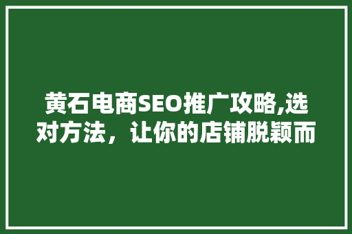 黄石电商SEO推广攻略,选对方法，让你的店铺脱颖而出