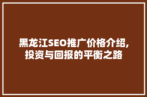 黑龙江SEO推广价格介绍,投资与回报的平衡之路