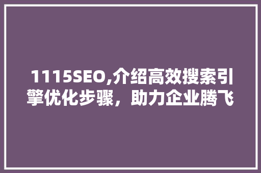 1115SEO,介绍高效搜索引擎优化步骤，助力企业腾飞