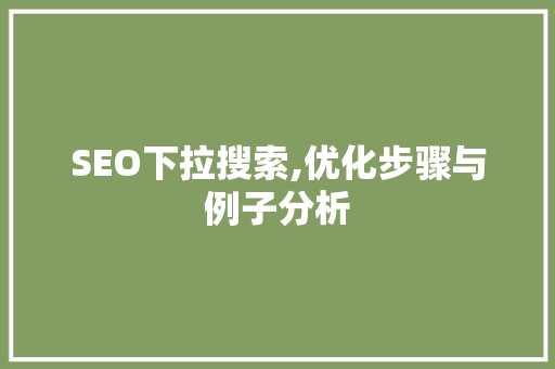 SEO下拉搜索,优化步骤与例子分析