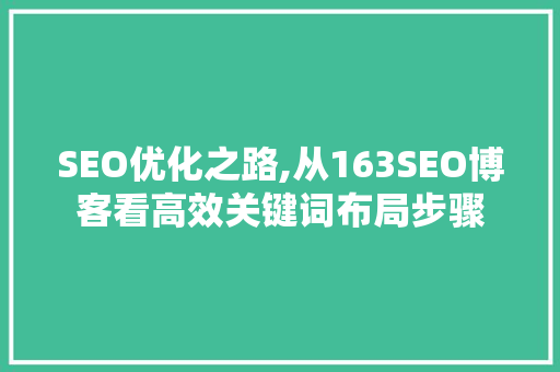 SEO优化之路,从163SEO博客看高效关键词布局步骤