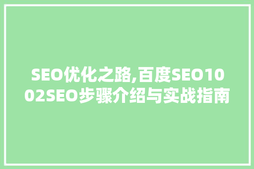 SEO优化之路,百度SEO1002SEO步骤介绍与实战指南