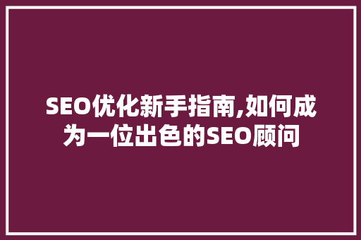 SEO优化新手指南,如何成为一位出色的SEO顾问