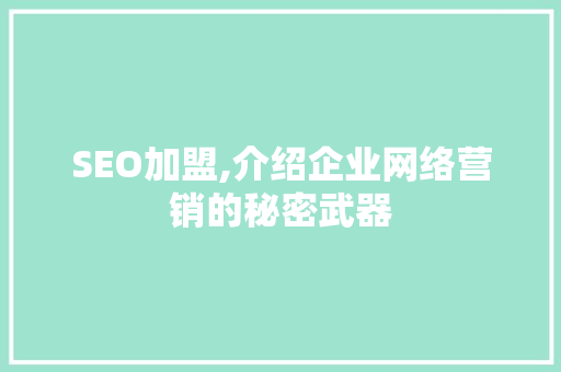 SEO加盟,介绍企业网络营销的秘密武器