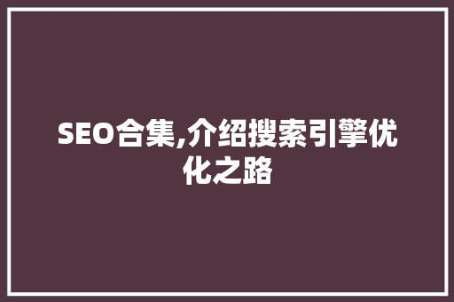 SEO合集,介绍搜索引擎优化之路