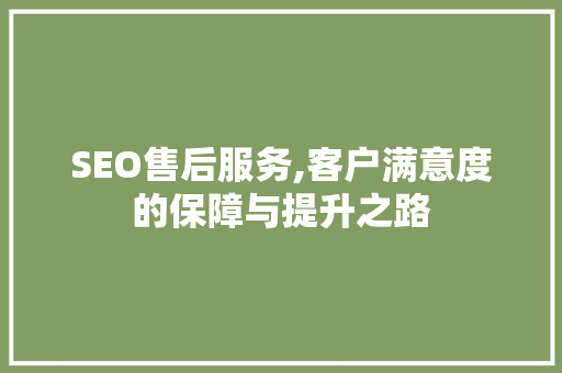 SEO售后服务,客户满意度的保障与提升之路