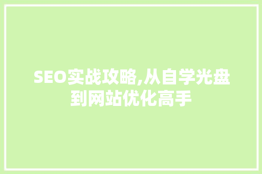 SEO实战攻略,从自学光盘到网站优化高手