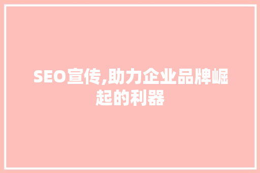 SEO宣传,助力企业品牌崛起的利器