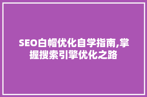 SEO白帽优化自学指南,掌握搜索引擎优化之路