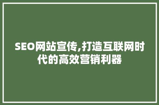 SEO网站宣传,打造互联网时代的高效营销利器