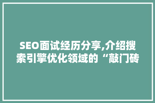 SEO面试经历分享,介绍搜索引擎优化领域的“敲门砖”  第1张