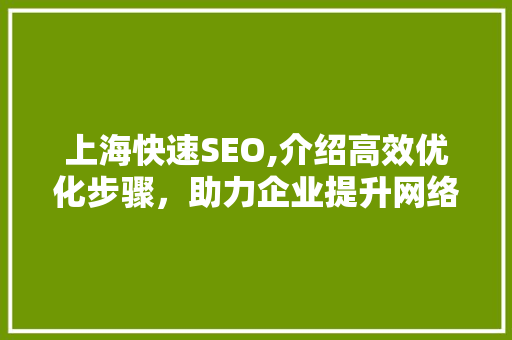 上海快速SEO,介绍高效优化步骤，助力企业提升网络竞争力