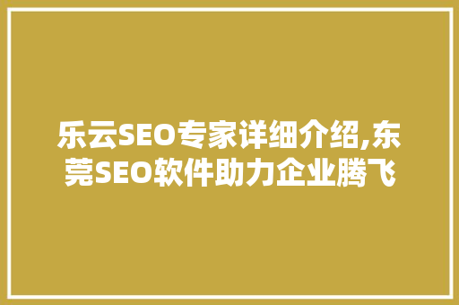 乐云SEO专家详细介绍,东莞SEO软件助力企业腾飞