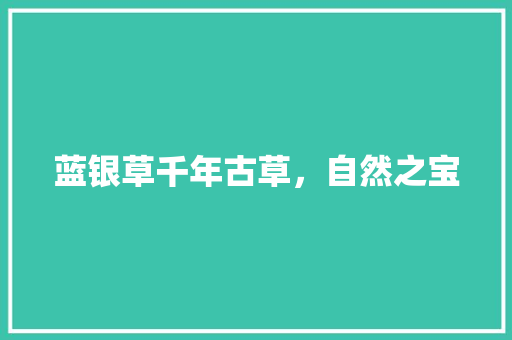 蓝银草千年古草，自然之宝