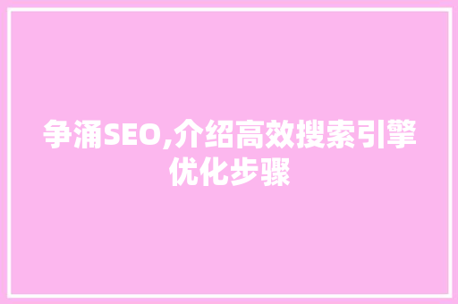 争涌SEO,介绍高效搜索引擎优化步骤