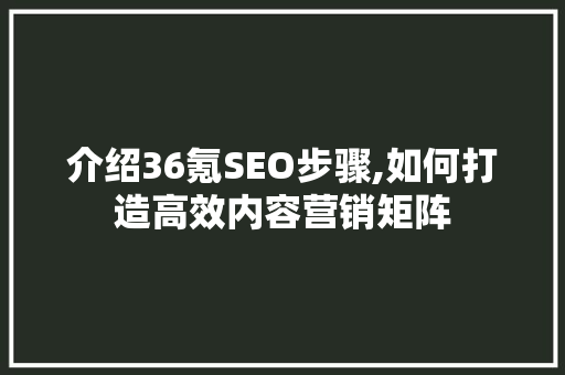 介绍36氪SEO步骤,如何打造高效内容营销矩阵
