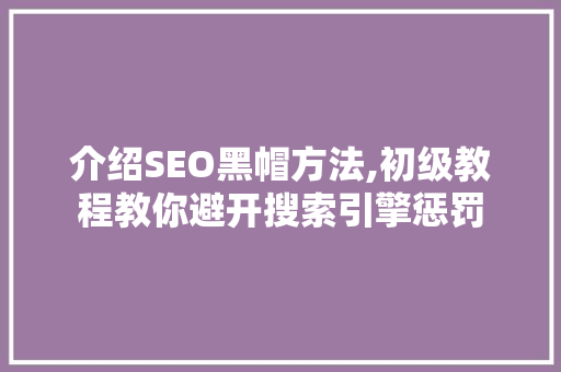 介绍SEO黑帽方法,初级教程教你避开搜索引擎惩罚