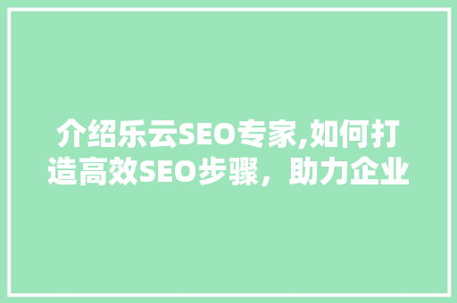 介绍乐云SEO专家,如何打造高效SEO步骤，助力企业腾飞