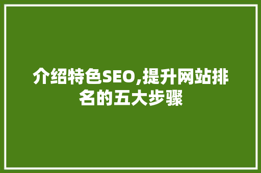介绍特色SEO,提升网站排名的五大步骤