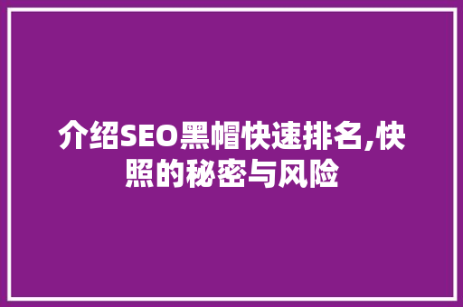 介绍SEO黑帽快速排名,快照的秘密与风险