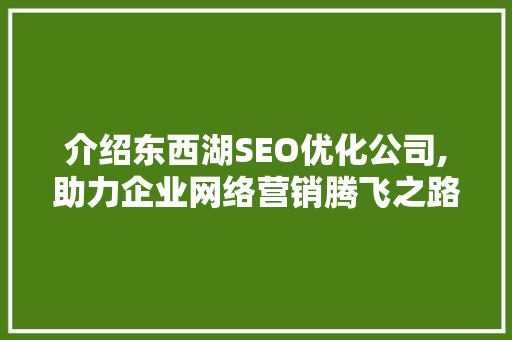 介绍东西湖SEO优化公司,助力企业网络营销腾飞之路