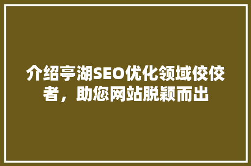 介绍亭湖SEO优化领域佼佼者，助您网站脱颖而出  第1张