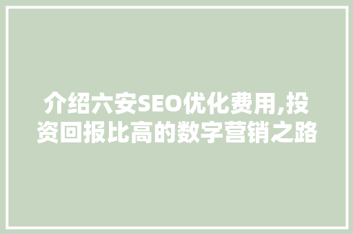 介绍六安SEO优化费用,投资回报比高的数字营销之路