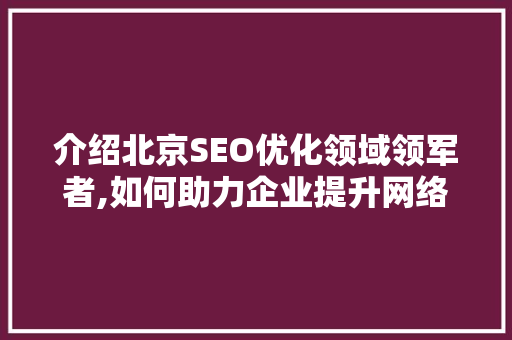 介绍北京SEO优化领域领军者,如何助力企业提升网络竞争力